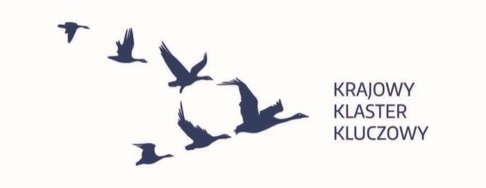 Krajowy Klaster Kluczowy — logo